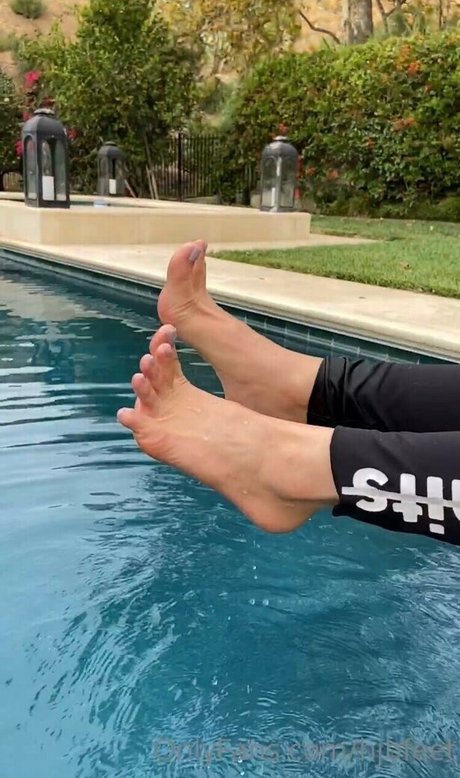 Sher Arar star exclusive img