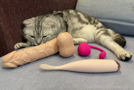 bella 420tw star pretty images