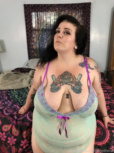 Felyx the Cat star nude picture