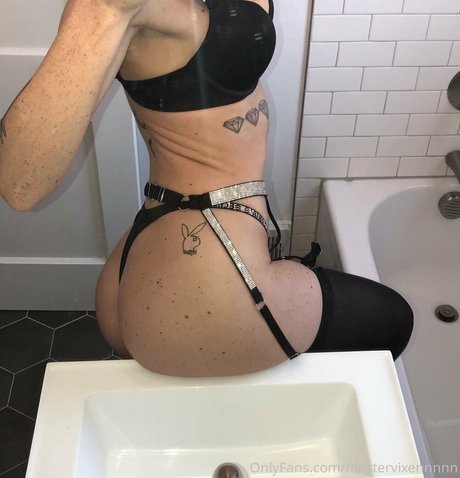 mastervixennnnn star high quality img