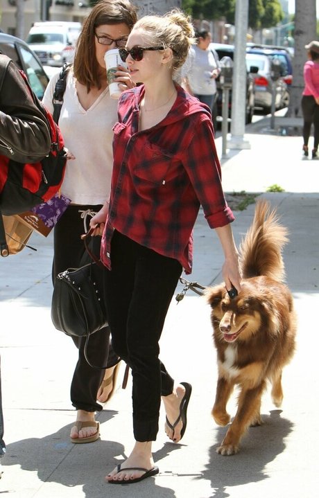 Amanda Seyfried beautiful pornstar photos