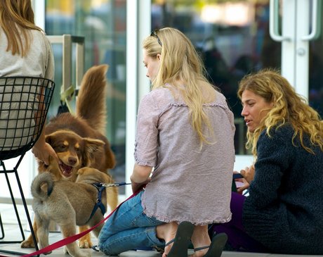 Amanda Seyfried pornstar xxx picture