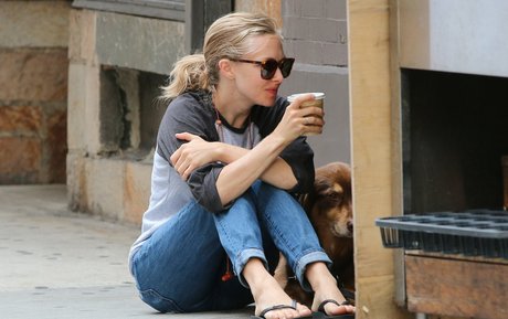 Amanda Seyfried art model picture