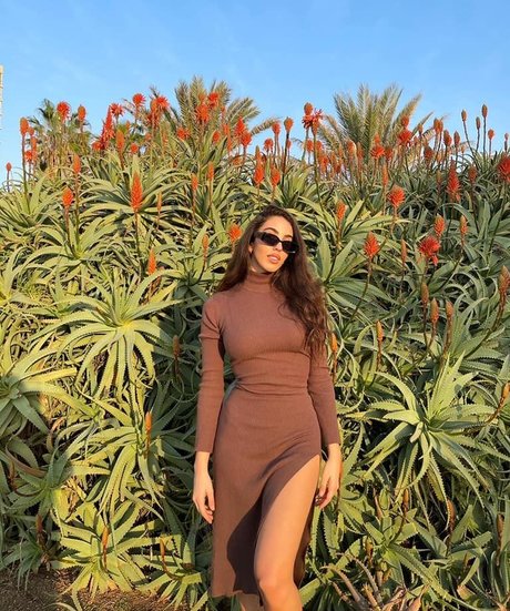 Liron Swisa pornstar nude gallery