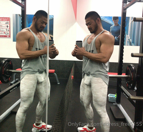 adress free5155 model nice images