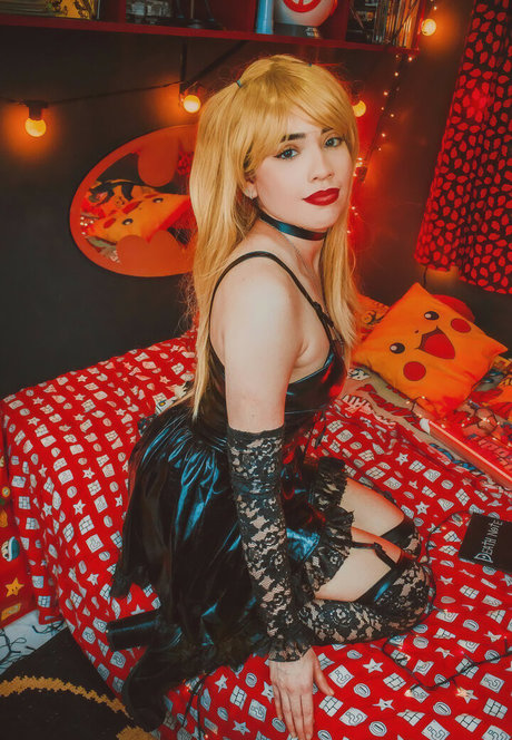 anelittlecat star best photos