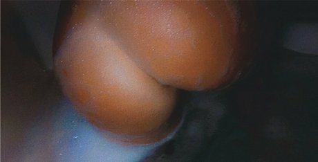 natttyb model top picture