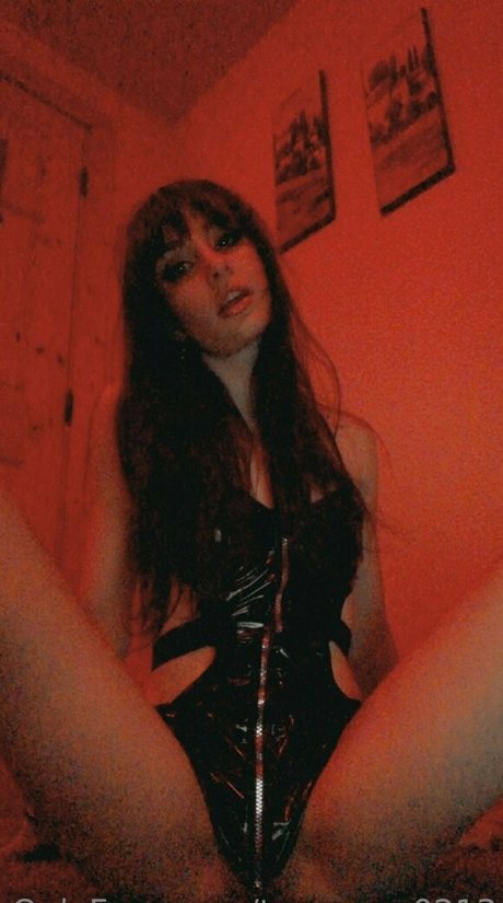 tara rose0213 top actress photo