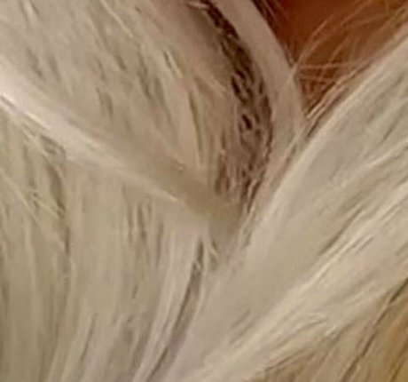 Shona Colson high quality star picture