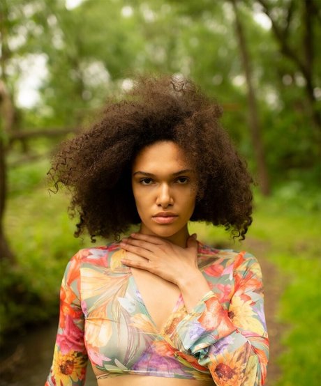 Bebetendre art star picture