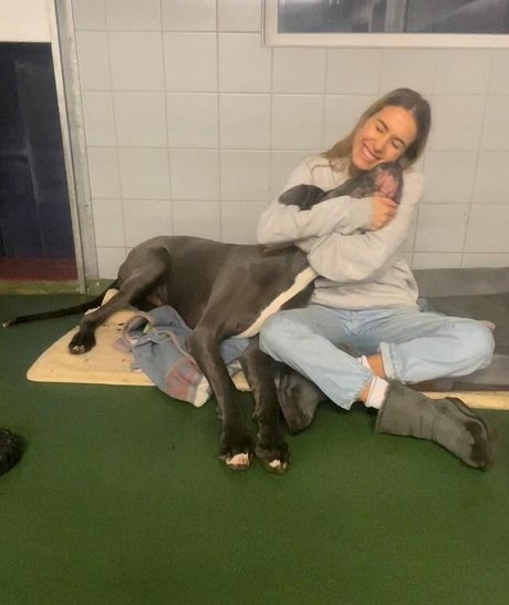 Alena Gerber sexy pornstar pic