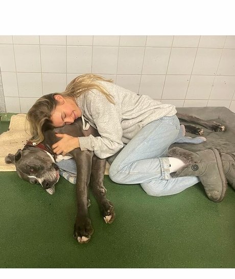 Alena Gerber art pornstar galleries