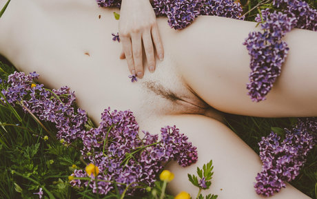 vauntastic pornstar art archive