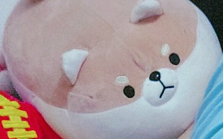 fijisaki star model hd archive