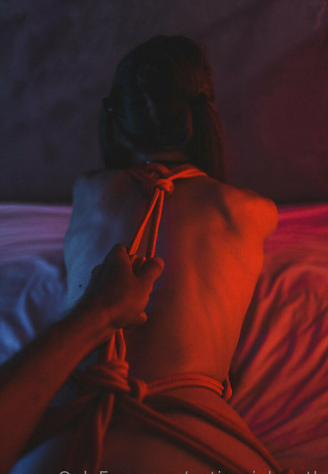 antisocial moth exclusive model galleries