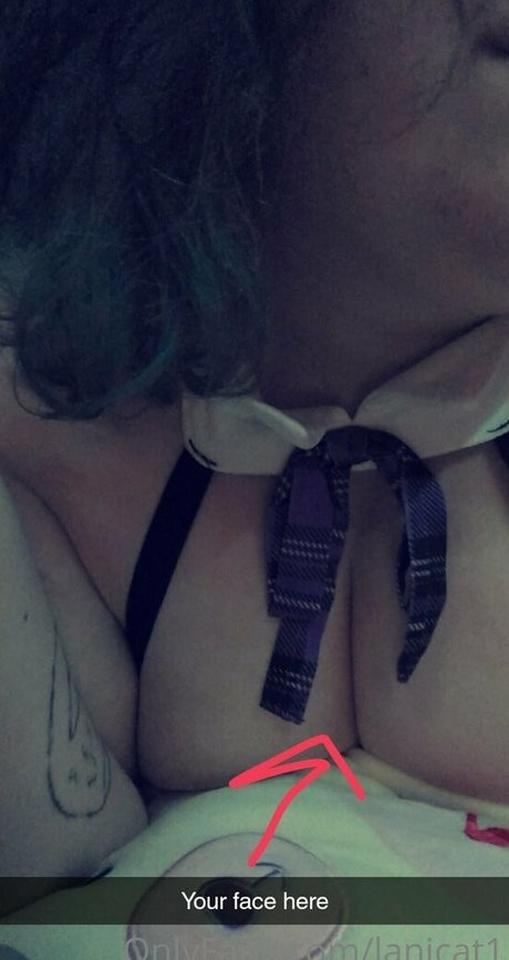 lanicat1 star top galleries