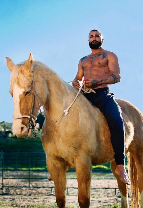 thesharok model archive