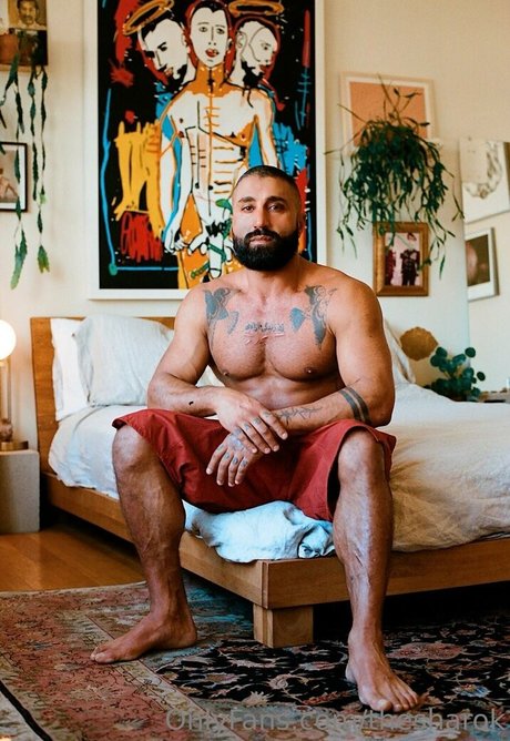 thesharok pornstar sex gallery