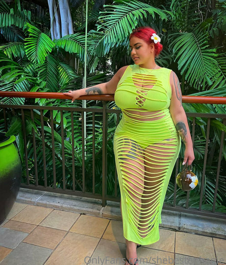 shebestephanie porn star galleries