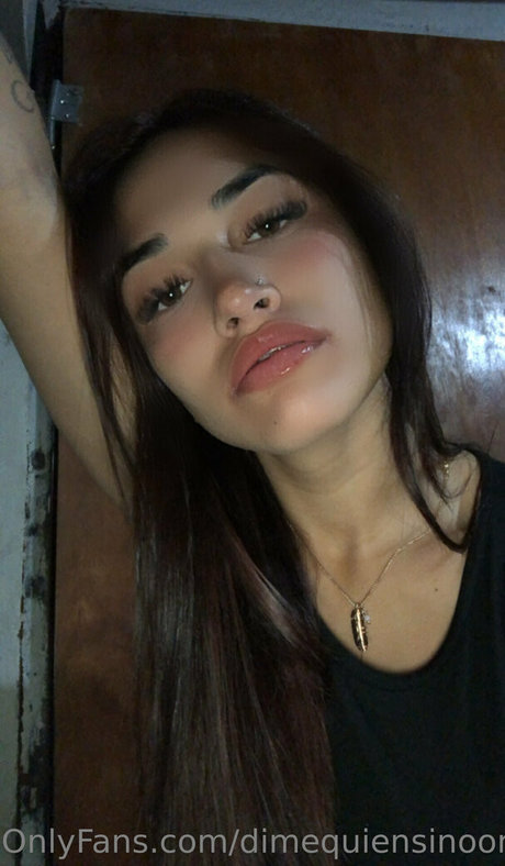 dimequiensinoona pornographic star gallery