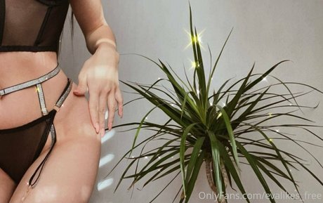 evalikes free star perfect galleries