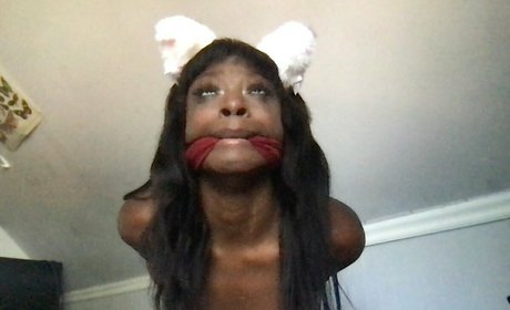 deadnaefree high quality pornstar archive