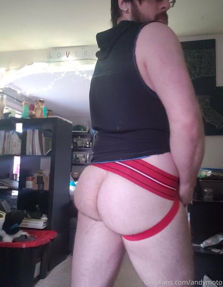 andymoto adult star gallery