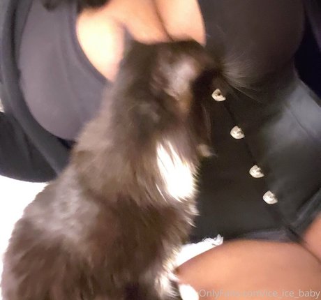 ice ice baby star sexy galleries