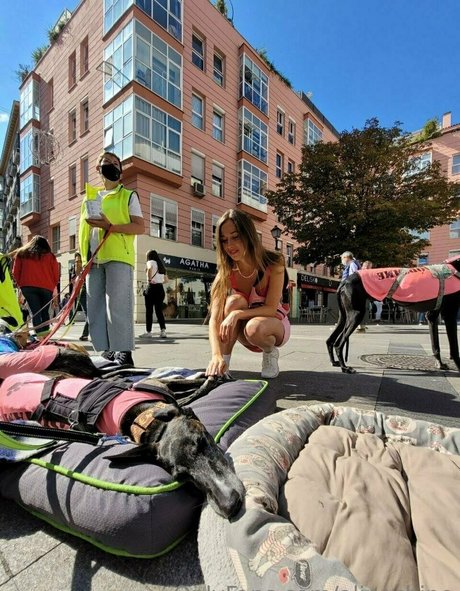 alinashine actress pictures