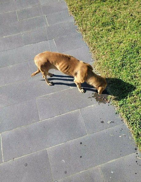 alinashine star nice gallery