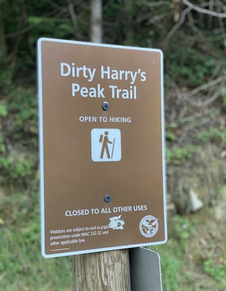 ms adventure naked star photos