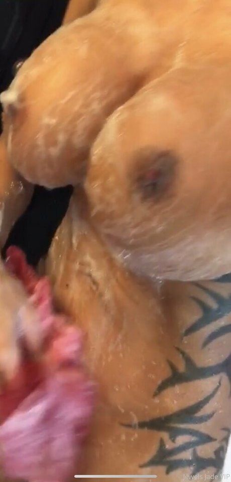 jewels jade vip star perfect image