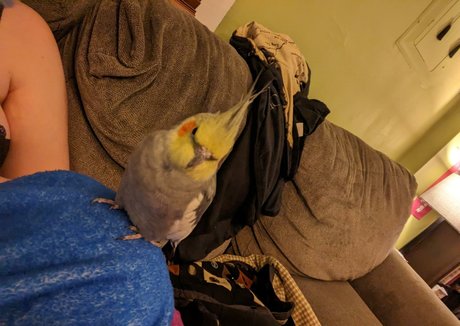 nun onlyfans free naked picture