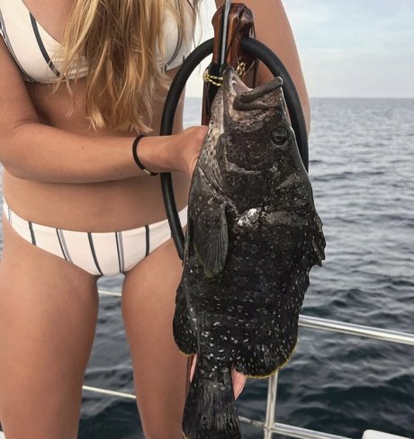 Kelly Young star nudes images