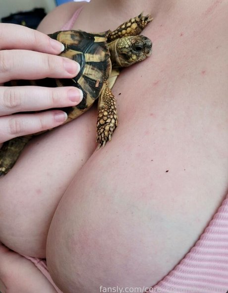 Core conundrum star porn images