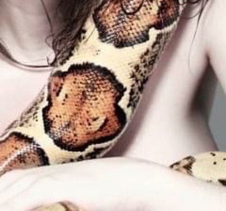 Krisea Marina pornstar xxx pics