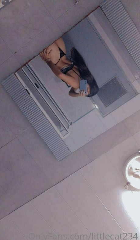 littlecat234 pretty star gallery