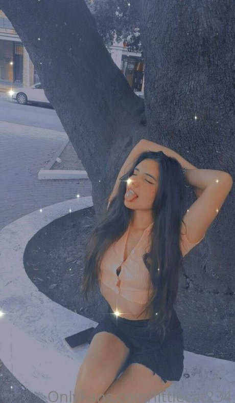 littlecat234 hd pornstar photo