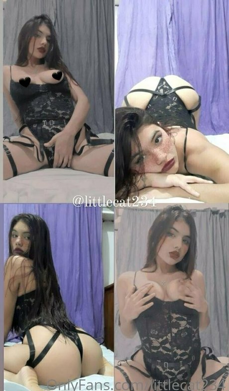 littlecat234 star hd gallery