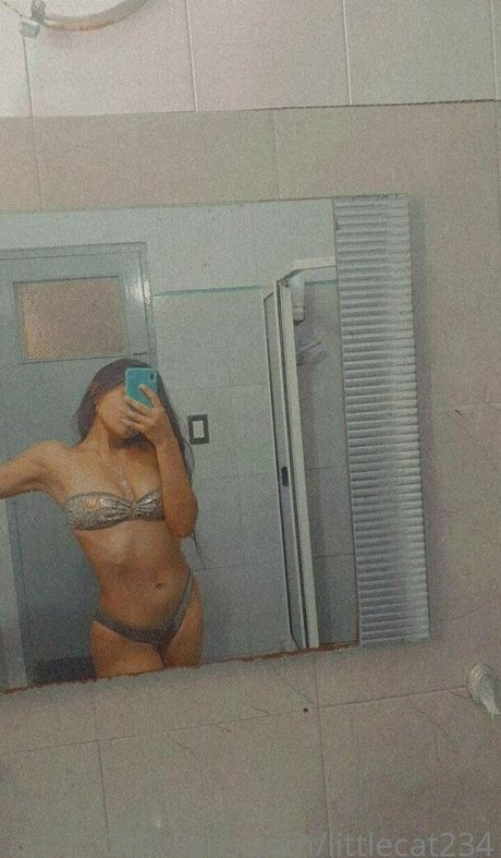 littlecat234 pornstar adult img