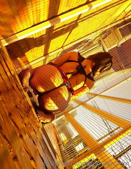 romakromm xxx actress images