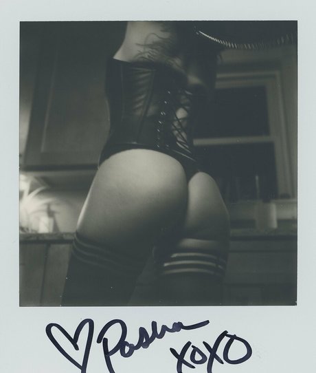 pashavixen model sexy gallery