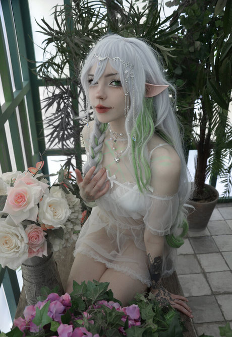 Flutterow top model galleries