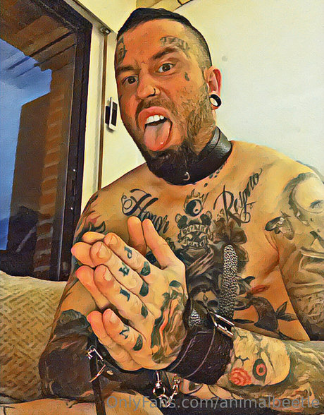 animalbeetle model pictures