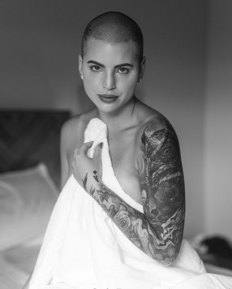 steves end best model images