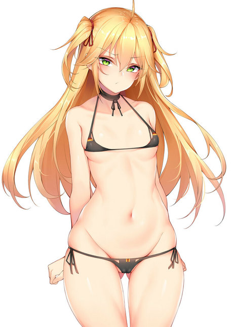 fox neko star perfect photo