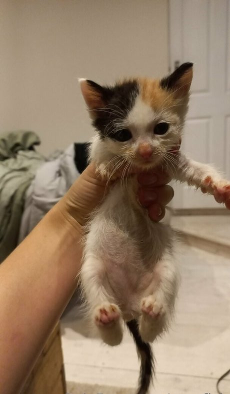 megfish xxx pornstar pics