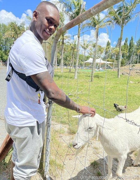 freestylebender perfect pornstar galleries