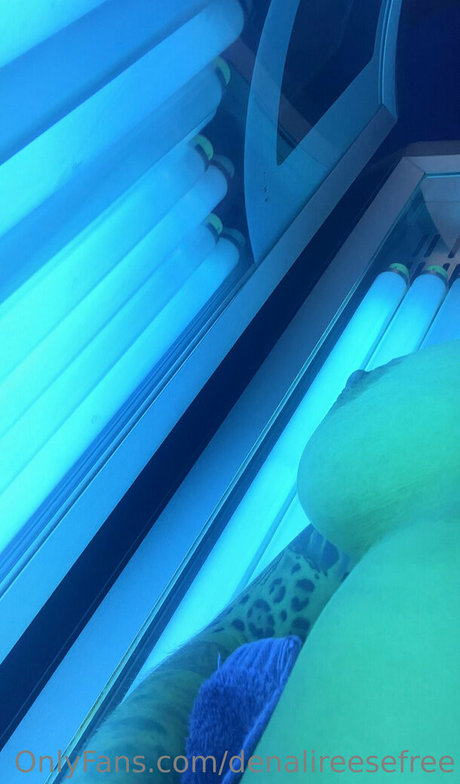 denalireesefree best pornstar photo