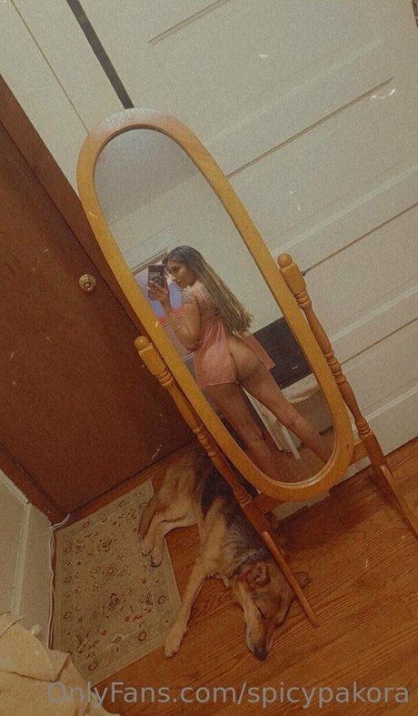 Spicypakora art model photo